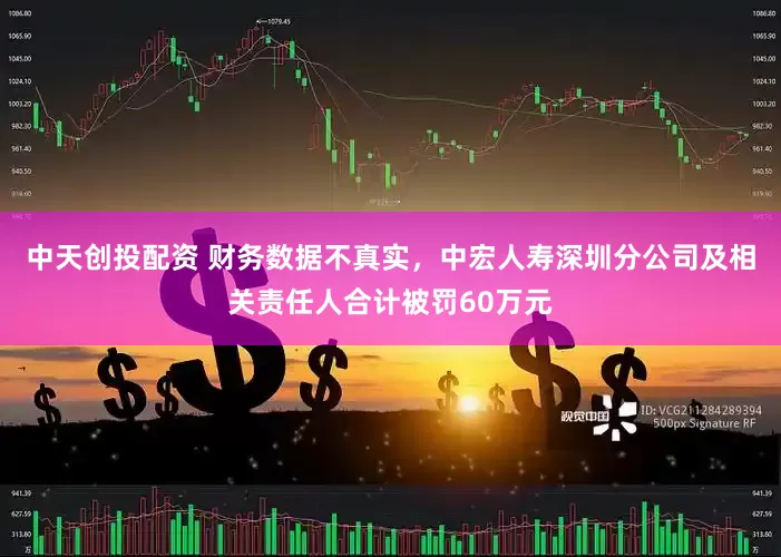 中天创投配资 财务数据不真实，中宏人寿深圳分公司及相关责任人合计被罚60万元