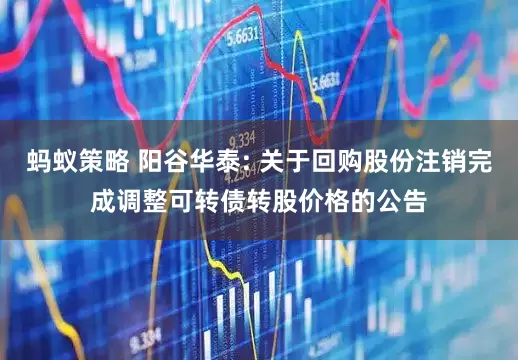 蚂蚁策略 阳谷华泰: 关于回购股份注销完成调整可转债转股价格的公告